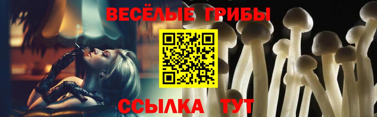 Галлюциногенные грибы GOLDEN TEACHER  Вход с VPN  Галлюциногенные грибы Cubensis  Видное 